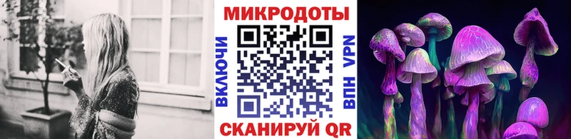 наркотики  Гаврилов Посад  Псилоцибиновые грибы ЛСД 